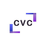 Capital Venture Consulting - Logo